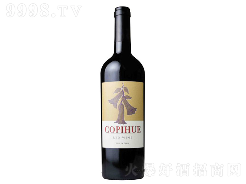 ���������й��L⏸ɼt���Ѿơ�750ml��