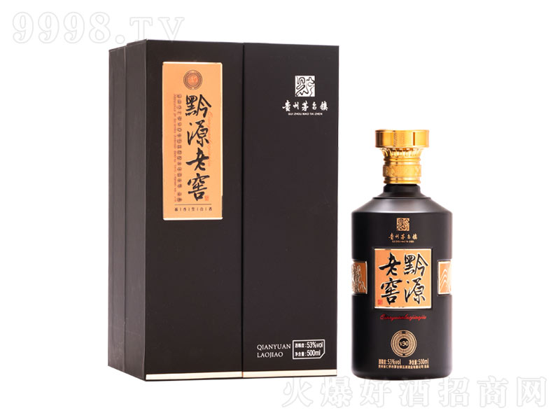 ǭԴ�ϽѾ�V30�u���͡�53��500ml��