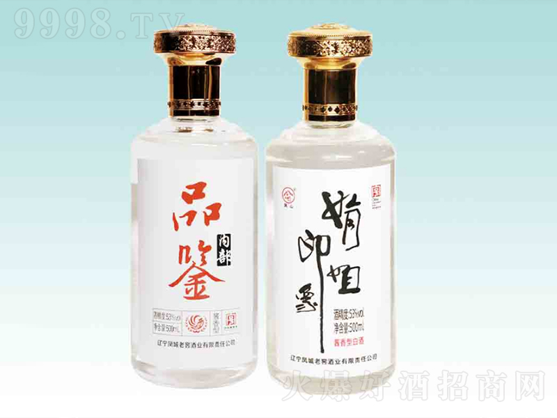 �P���Ͻ�Ʒ�b��(���ӡ��)�u���͡�53��500ml��-�׾����Ϣ