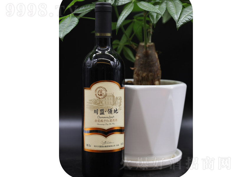 �����I�س�ϼ��ɼt���Ѿƣ��͹Řˣ���13��750ml��