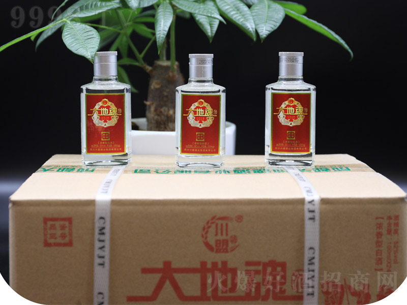 ��ػ����̖С�Ɲ����͡�52��100ml��