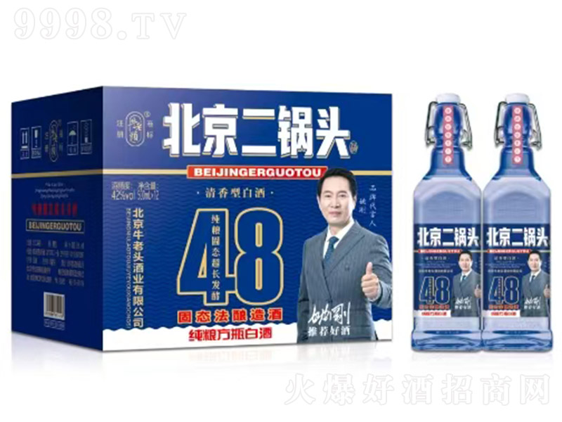 ţ���^��������^�ơ���ƿ48���{�������͡�42�� 500ml��12��