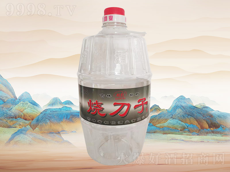 �ಮ�����Ӿ�F028��52��4L��4Ͱ��-�׾����Ϣ