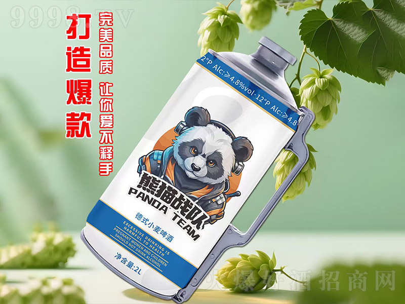 ��؈��꠵�ʽС��ơ�ơ�12�� 2L��