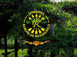 ������¡�D���H���Q����؟�ι�˾