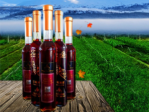 �����Ȫ�Ʒ���޹�˾