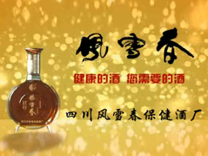 �Ĵ��Lѩ�������ƏS