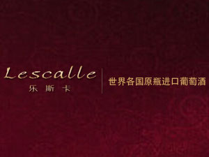 �Ϻ���˹���Q�����޹�˾