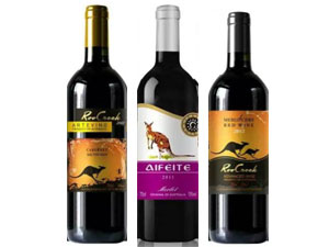 ���ڷ������M(j��n)�����Q(m��o)�׹�˾