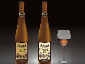 �󲨲��xʳ�I