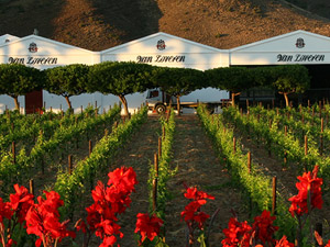 ������֪�Q��