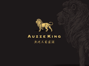 �Ͼ���Ʒ�R���H�Q�����޹�˾