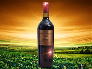 �t�±��������Ѿ�(����)�a�I�\�I���޹�˾