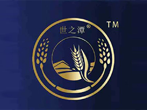 �Ĵ���̶֮�ƘI���޹�˾