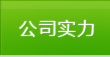 公司實力