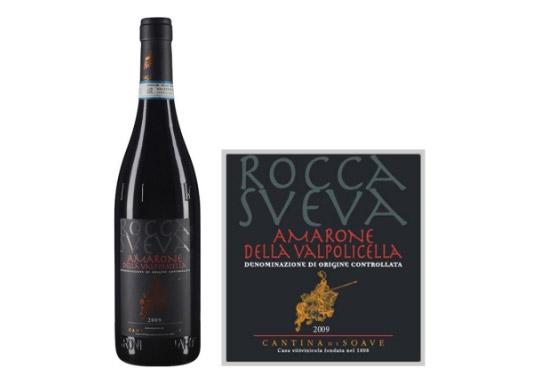 SfʷSߎr_tѾ2009r񣬶X