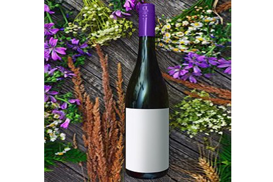 �P�ڰ��m�ص����Ѿ��Ļ��`�꣡