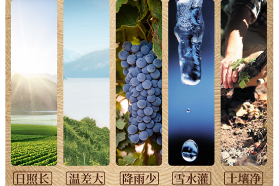 �������ǖ|�����м�����ڴ��؆��̼�ٍ�XЧ������ȫ����