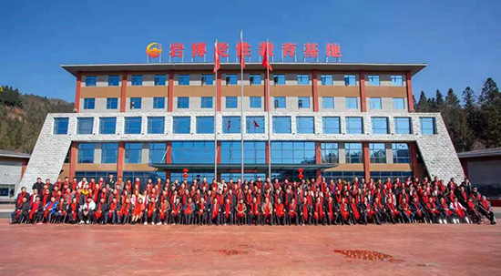 ȫ Сһ(zhn)rСƆӄ(chung)̡Ӌ