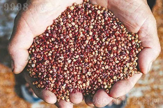 �|������