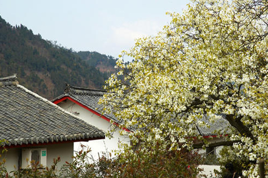 �ɶ���ػ�ơ��l������+����������滨���l �������r�彨�O