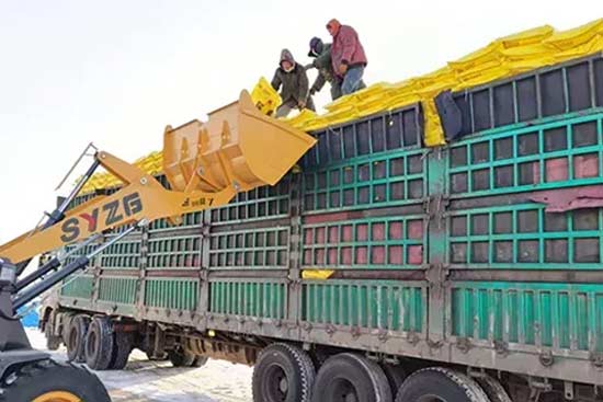 ����ļ��F(tu��n)