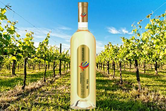 ļʲôϲgȰѾأxѾƣ