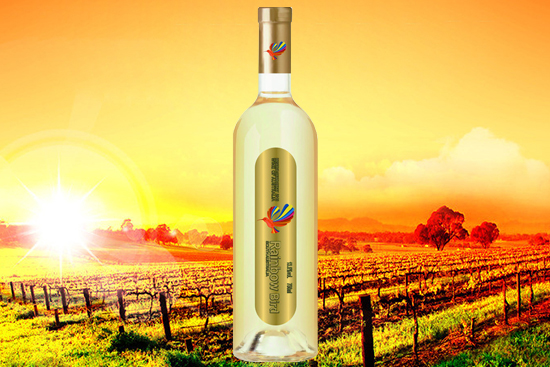 ļʲôϲgȰѾأxѾƣ