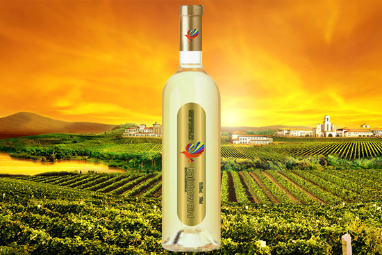 ļʲôϲgȰѾأxѾƣ