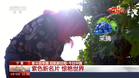 ʲôɫƬһѾƵ֮_ʼ