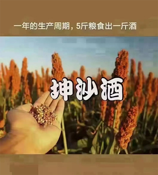 �u���ᄡ����u�u�ƣ���500+��(j��ng)�N���ѓ�(j��)��Ʒ�Ʈ�܊ͻ�𣬿��پ��