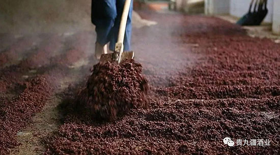 �F�Ž��ƘI����ʲô�ڡ�������r�����u��ƕ��ɞ���R��܊ͻ��