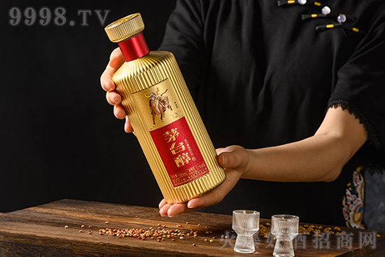 YƷ] | mͶYĸԃrȰ׾ƶ@ˣ