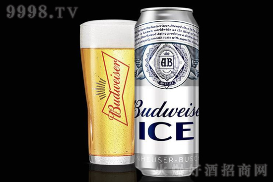 ����ơ�Ʊ�ơ�¿�ζ500ml��18 ����ơ�ƃr���F�᣿