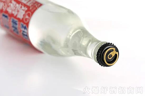 ���_����