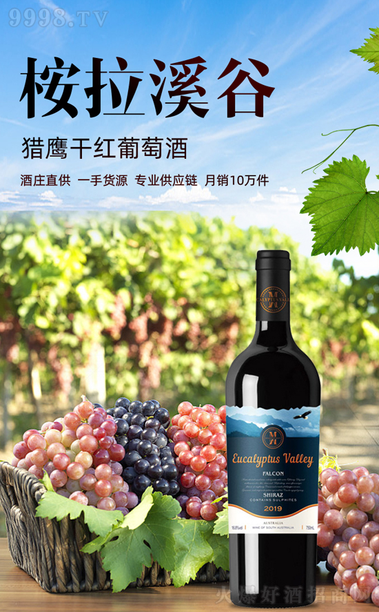 ѾM탞ݱ࣬N̲e^ġX