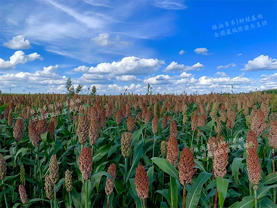 ZͶƽ_ĸwͰͰЇaIƽ_ǰ及