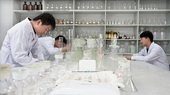 ϲ | ߠtҘs@հ׾ИIgFwȪ