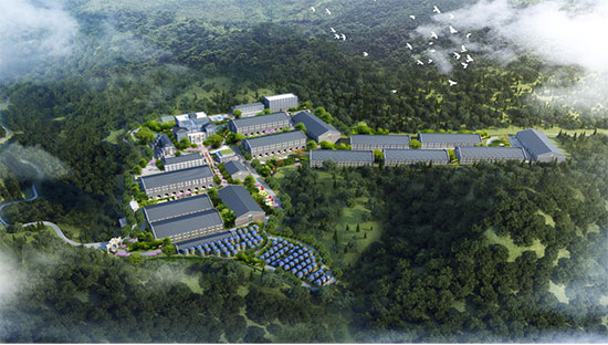 é�_�����ǰʮ�ľƏS���F�ݹ�ᄷ��ƘI��é�_�������