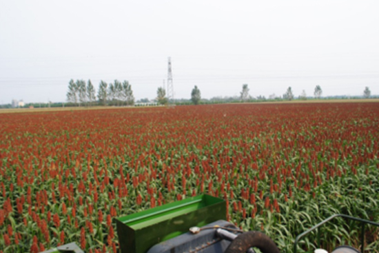 ���M�ͷN�ӣ����Mָ�������o�r��ُ��|��ꖌ��ƘIᄾƸ����Nֲ���_ʼ��ļ�ˣ�