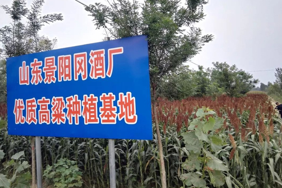 ���M�ͷN�ӣ����Mָ�������o�r��ُ��|��ꖌ��ƘIᄾƸ����Nֲ���_ʼ��ļ�ˣ�