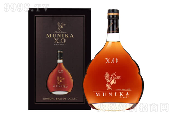 40�㿨����XO��ư��m��1000ml�r(ji��)���������X(qi��n)��