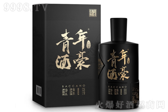 45СƺϵС׺600mlr񣬶X