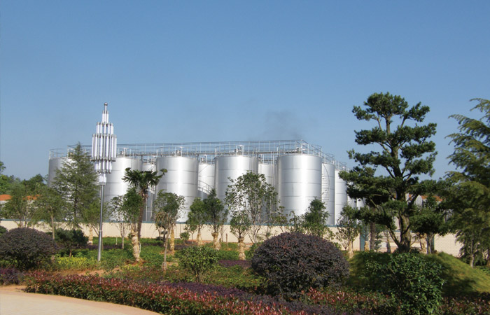 �ه������ƹ�