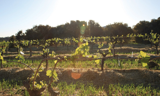 �V�|���ϾƘI���޹�˾