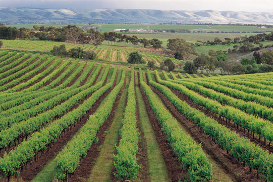 �V�|���ϾƘI���޹�˾