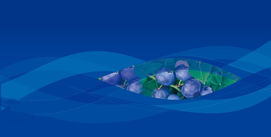 �L���������ѾƏS