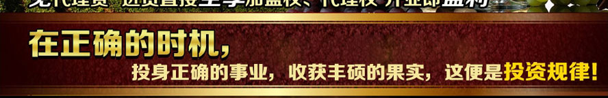 �V�ݵ������ƘI���޹�˾