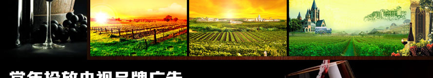 �V�ݵ������ƘI���޹�˾