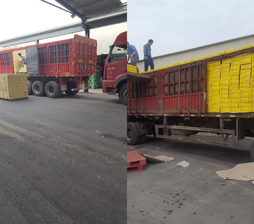 英國奧丁格啤酒集團有限公司